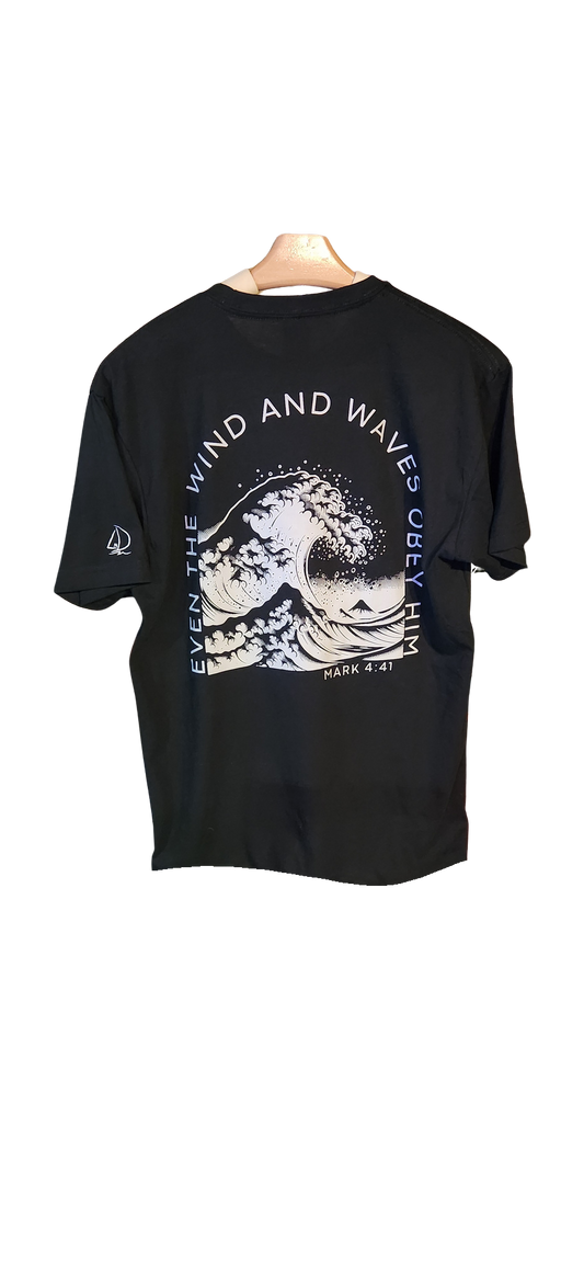 Soft Style T-Shirts