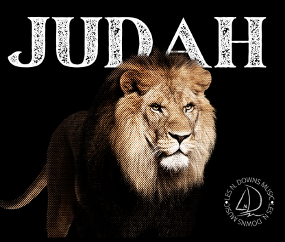 Custom Insulated Tumblers